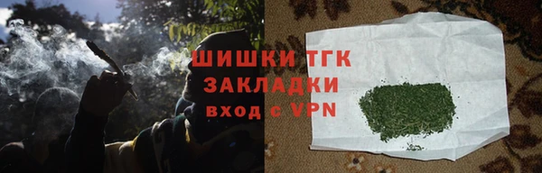ешки Верхний Тагил