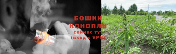 молекула духа Бронницы