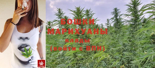 ПСИЛОЦИБИНОВЫЕ ГРИБЫ Бородино