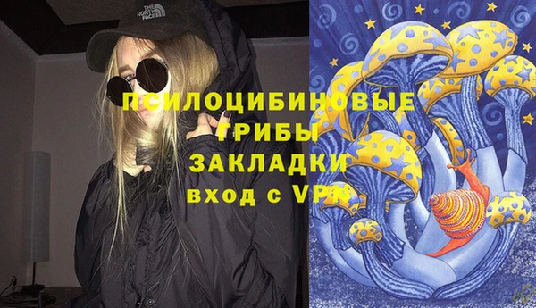 молекула духа Бронницы