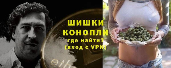 молекула духа Бронницы