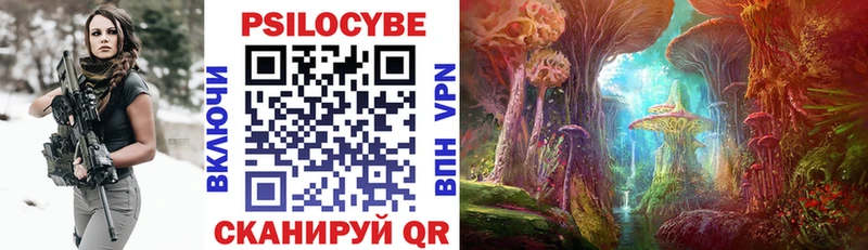 darknet телеграм  Камышлов  Псилоцибиновые грибы Cubensis  hydra ONION 